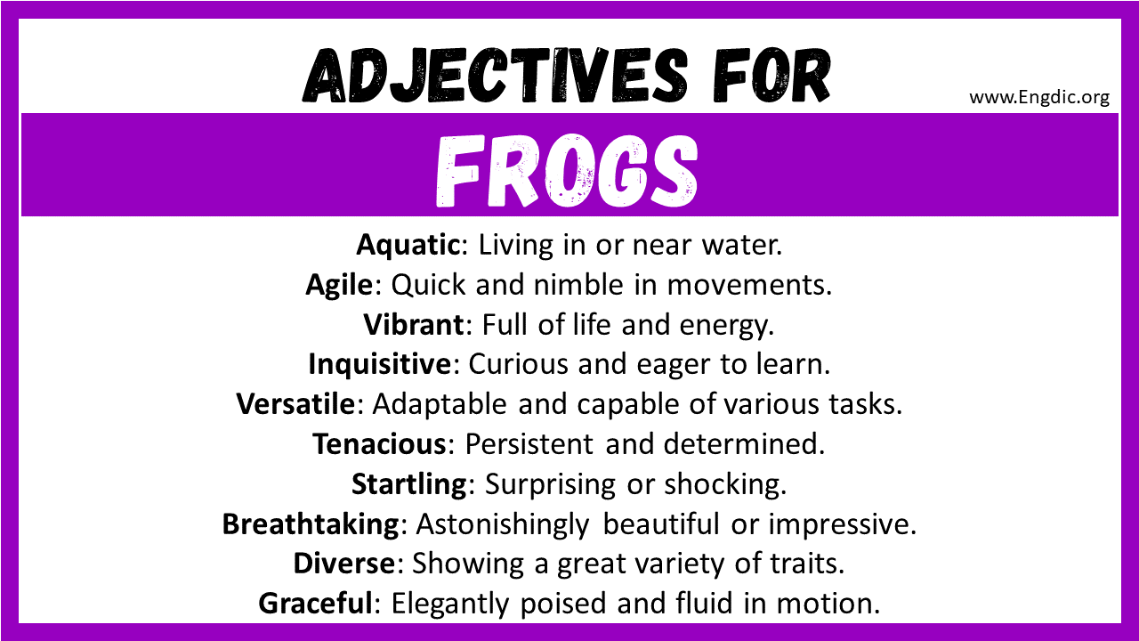 Adjectives for Frogs