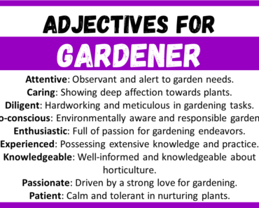 20+ Best Words to Describe Gardener, Adjectives for Gardener