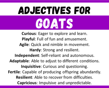 20+ Best Words to Describe Goats, Adjectives for Goats