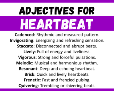 20+ Best Words to Describe Heartbeat, Adjectives for Heartbeat