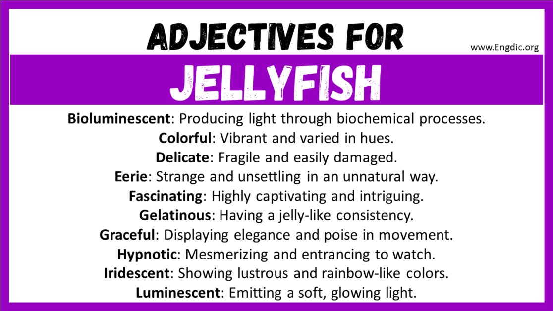 20+ Best Words to Describe Jellyfish, Adjectives for Jellyfish EngDic