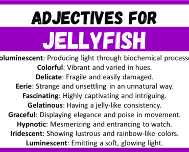 20+ Best Words to Describe Jellyfish, Adjectives for Jellyfish