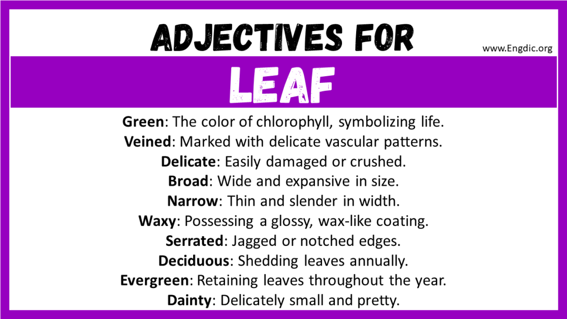 how to describe leaf in creative writing