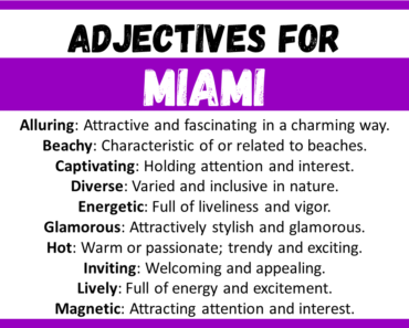 20+ Best Words to Describe Miami, Adjectives for Miami