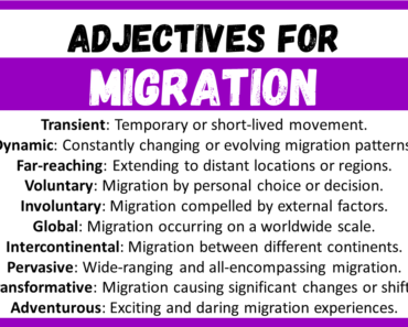 20+ Best Words to Describe Migration, Adjectives for Migration