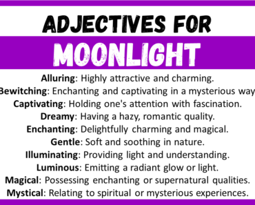 20+ Best Words to Describe Moonlight, Adjectives for Moonlight