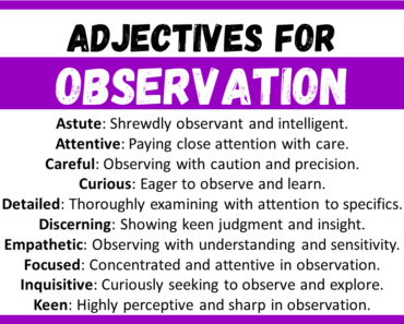 20+ Best Words to Describe Observation, Adjectives for Observation
