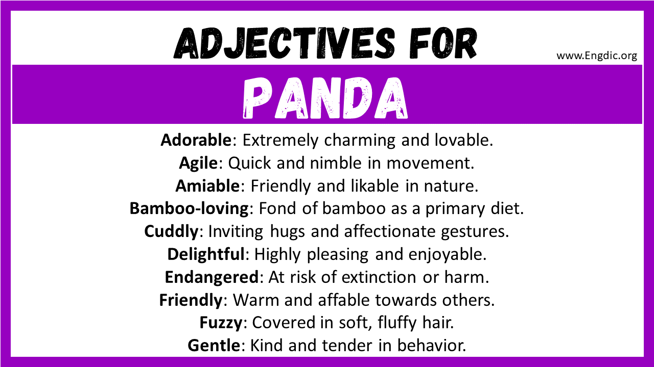 Adjectives for Panda