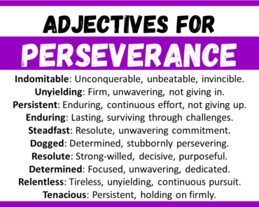 20+ Best Words to Describe Perseverance, Adjectives for Perseverance