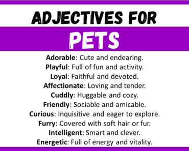 20+ Best Words to Describe Pets, Adjectives for Pets