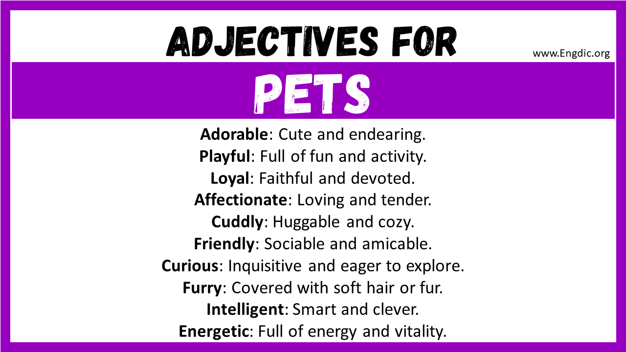Adjectives for Pets