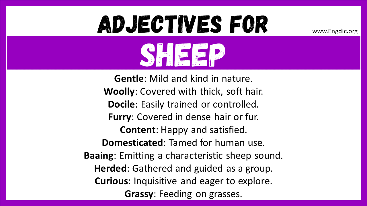 Adjectives for Sheep