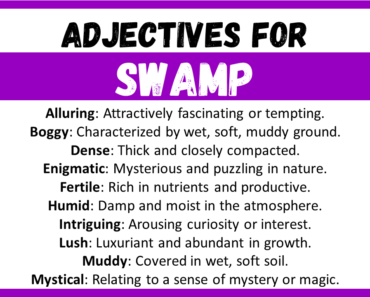 20+ Best Words to Describe Swamp, Adjectives for Swamp
