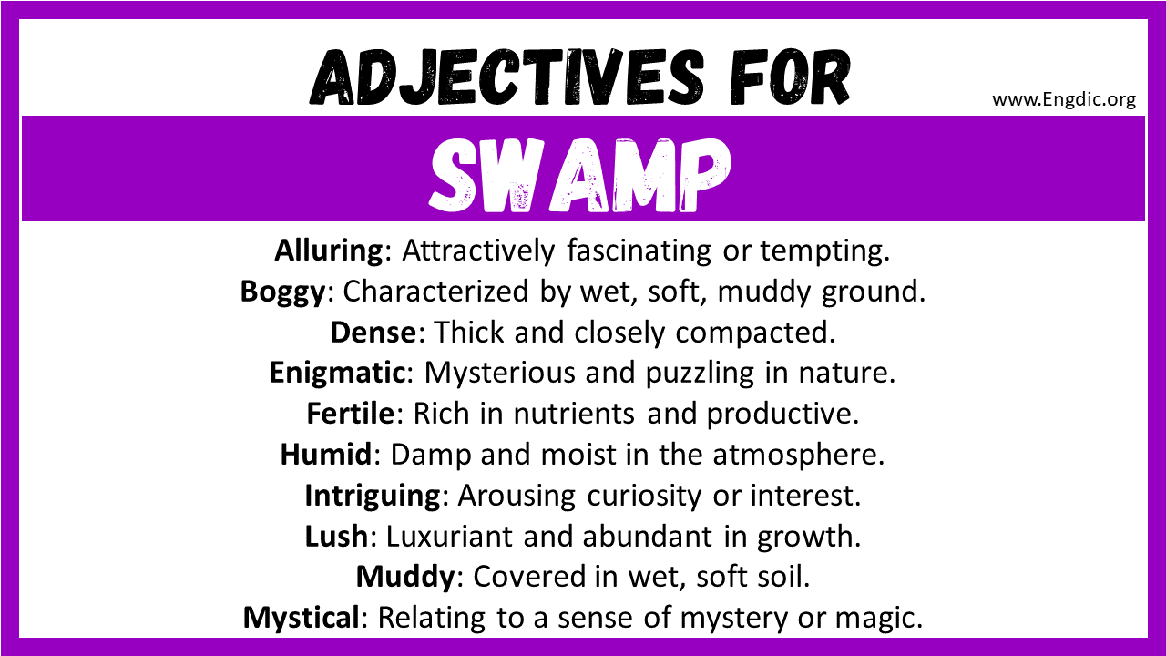 Adjectives for Swamp