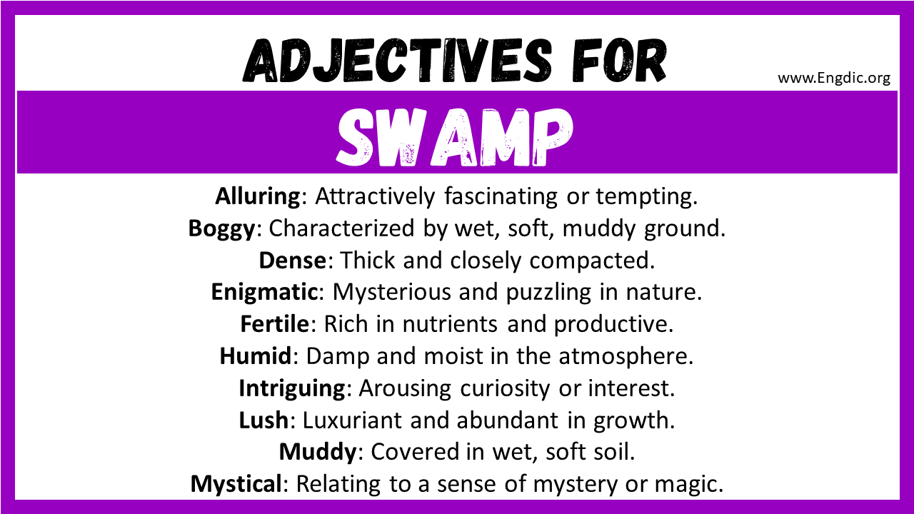 20-best-words-to-describe-swamp-adjectives-for-swamp-engdic