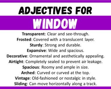20+ Best Words to Describe Window, Adjectives for Window