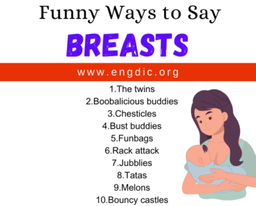 30 Funny Ways to Say Breasts