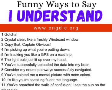 30 Funny Ways to Say I Understand