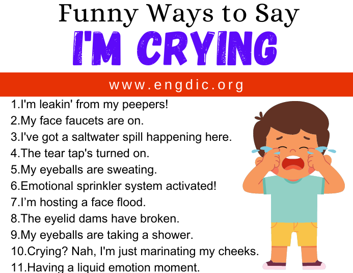 30 Funny Ways to Say I’m Crying – EngDic