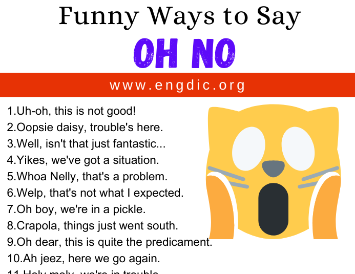 30 Funny Ways to Say Oh No EngDic