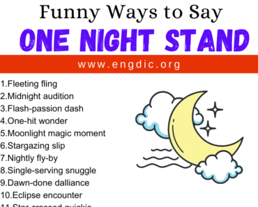 30 Funny Ways to Say One Night Stand