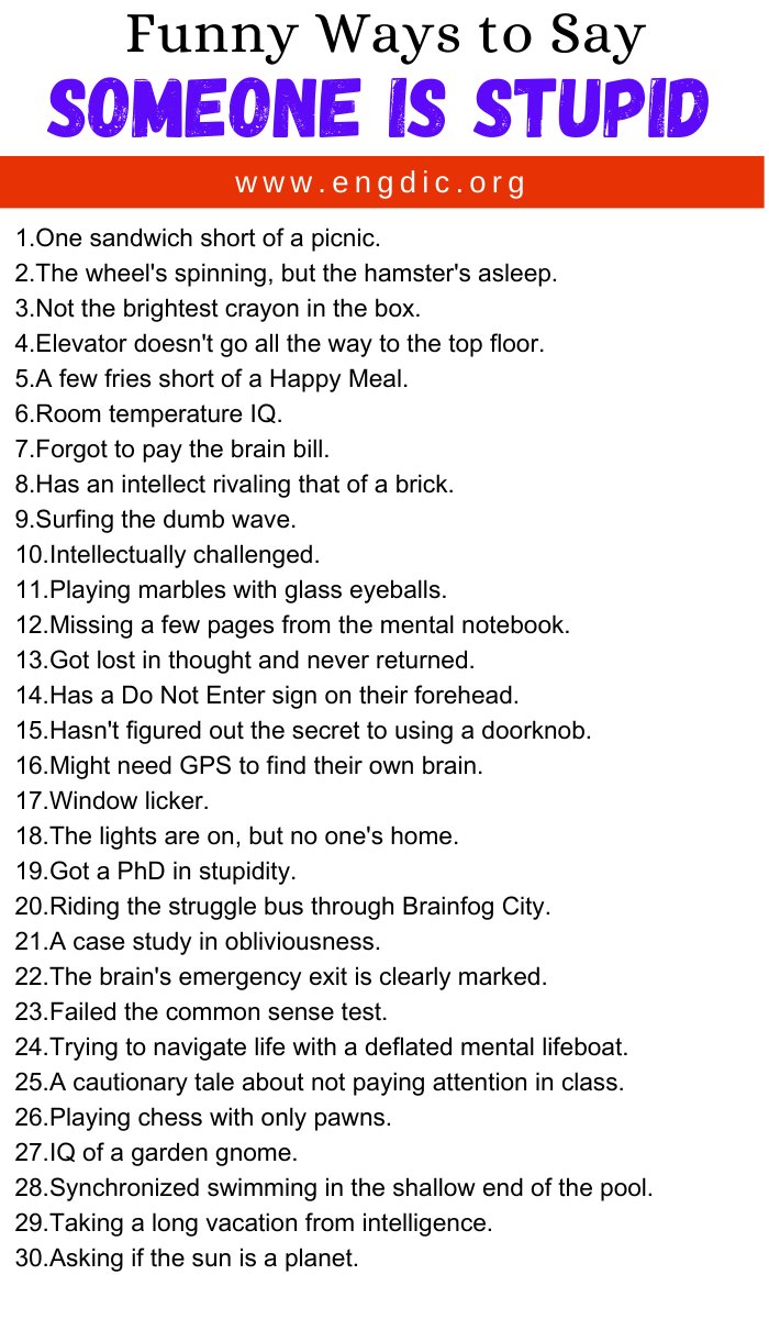 Funny Ways to Say Someone Is Stupid Funny Ways to Say Someone Is Stupid