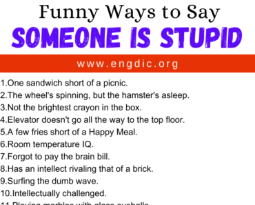 30 Funny Ways to Say Someone Is Stupid
