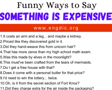 30 Funny Ways to Say Something Is Expensive