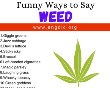 30 Funny Ways to Say Weed