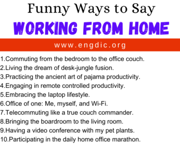 30 Funny Ways to Say Working From Home