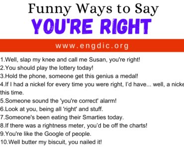 30 Funny Ways to Say You’re Right