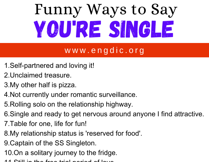 30-funny-ways-to-say-you-re-single-engdic