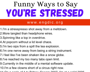 30 Funny Ways to Say You’re Stressed