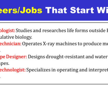 Jobs That Start With X