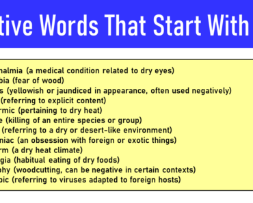 30 Negative Words That Start With X
