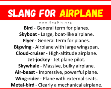 50+ Slang for Airplane (Their Uses & Meanings)