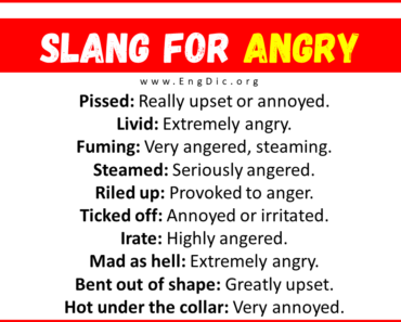 20+ Slang for Angry (Their Uses & Meanings)