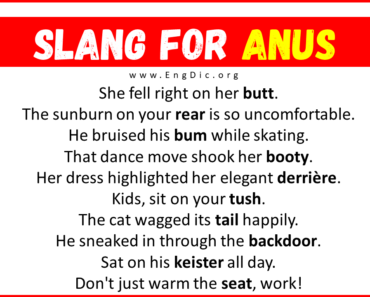 20+ Slang for Anus (Their Uses & Meanings)