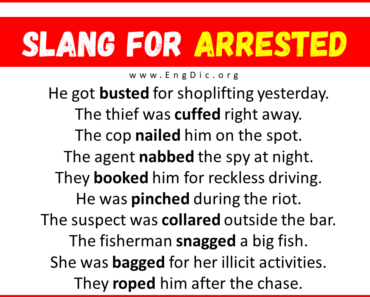40+ Slang for Arrested (Their Uses & Meanings)