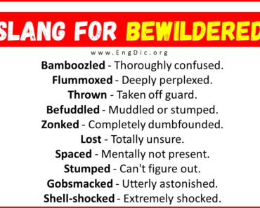 20+ Slang for Bewildered (Their Uses & Meanings)