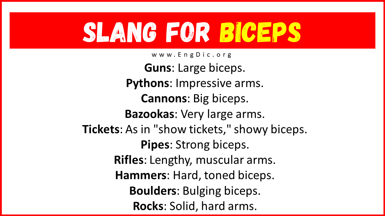Slang For Biceps