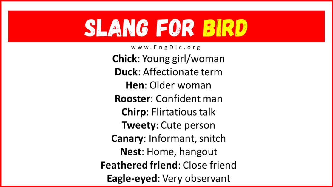 30-slang-for-bird-their-uses-meanings-engdic