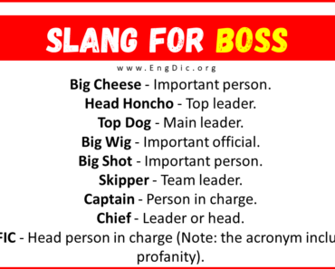 20+ Slang for Boss (Their Uses & Meanings)