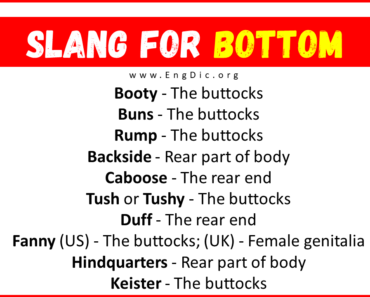 20+ Slang for Bottom (Their Uses & Meanings)