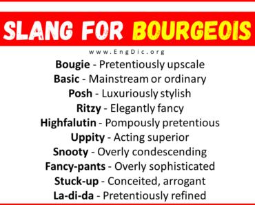 30+ Slang for Bourgeois (Their Uses & Meanings)
