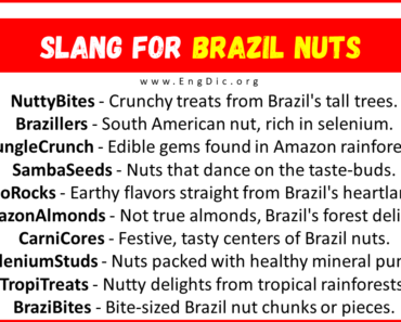 20+ Slang for Brazil Nuts (Their Uses & Meanings)