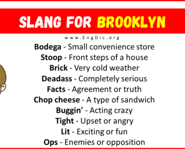 20+ Slang for Brooklyn (Their Uses & Meanings)