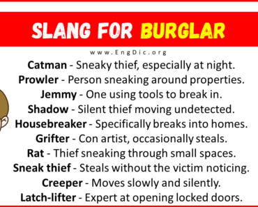 30+ Slang for Burglar (Their Uses & Meanings)