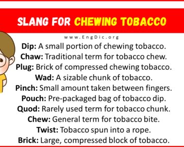 20+ Slang for Chewing Tobacco (Their Uses & Meanings)