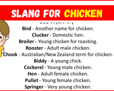 20+ Slang for Chicken (Their Uses & Meanings)